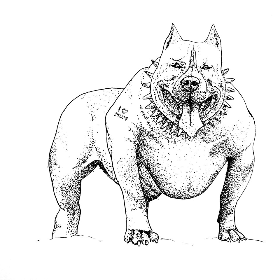 Illustration d'un chien Bulldog bien musclé
