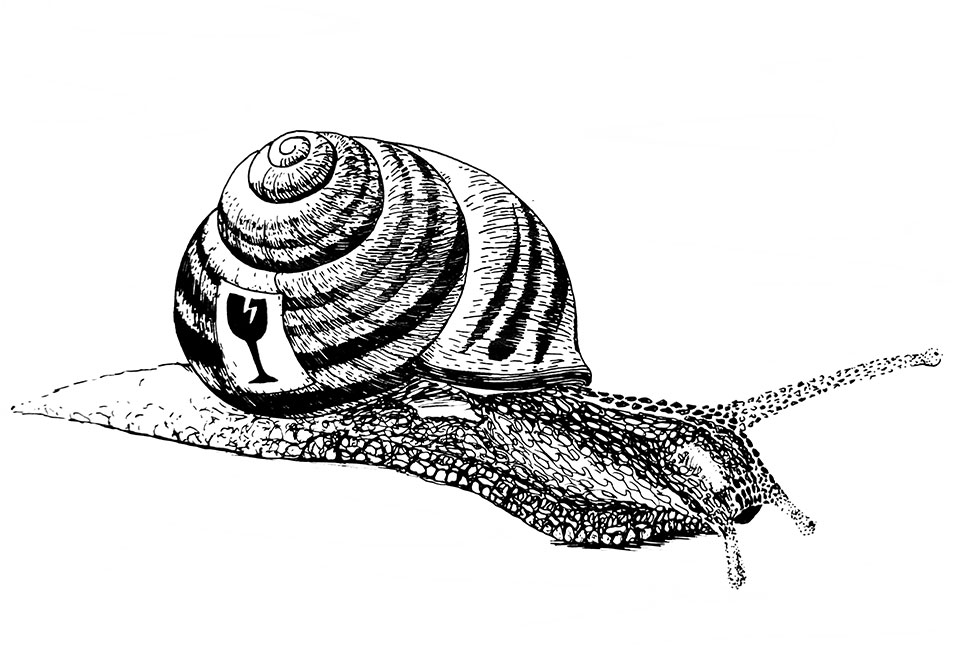 Illustration d'un escargot avec un sticker 'fragile' sur la coquille