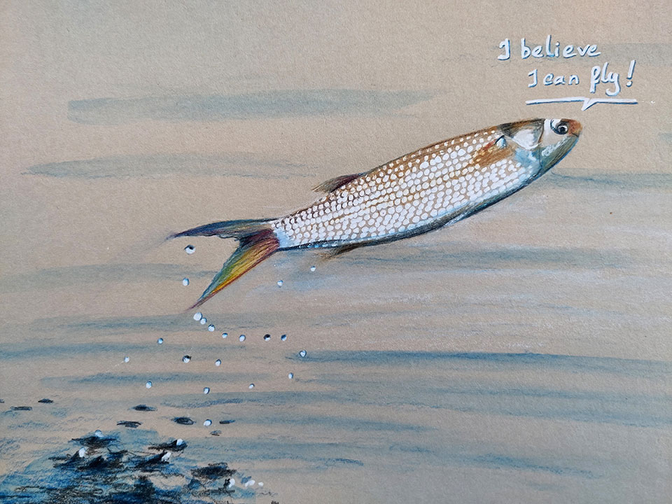 Dessin aux feutres fins de couleurs d'une tête de tigre