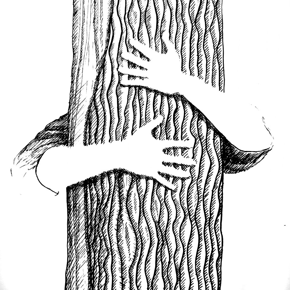 Illustration au trait fin noir de l'écorce d'un arbre et de main en réserve lui faisant une accolade